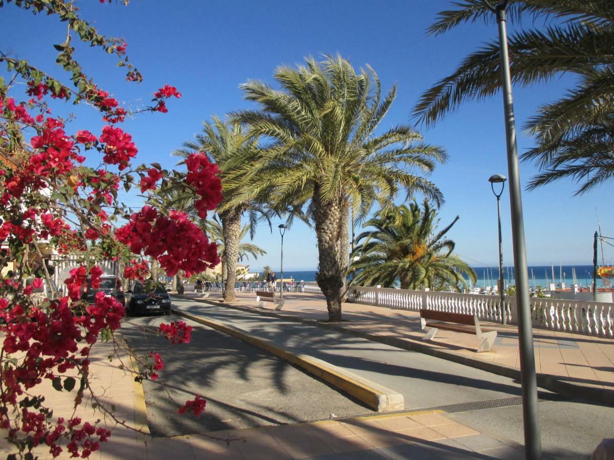 Playa Elisa Bay Διαμέρισμα Pilar de la Horadada Εξωτερικό φωτογραφία
